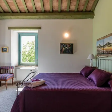 Il Vigneto *