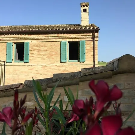 Il Vigneto *
